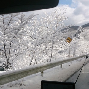 吉井街道冬景色
