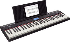 gopiano_07_gal.jpg